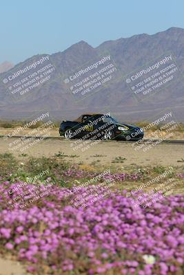 media/Jan-29-2023-PCA San Diego (Sun) [[aa0301ccc2]]/Yellow Group/Session 1 (Turn 15 Bloom)/